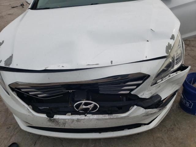 Photo 10 VIN: 5NPE34AF5FH090183 - HYUNDAI SONATA SPO 