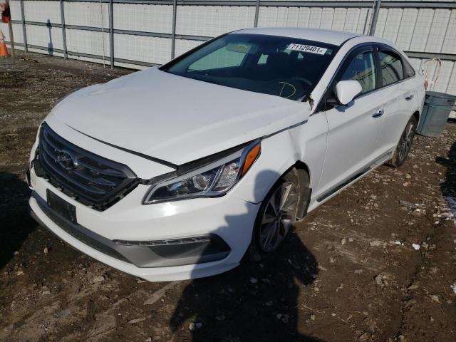 Photo 1 VIN: 5NPE34AF5GH286545 - HYUNDAI SONATA SPO 