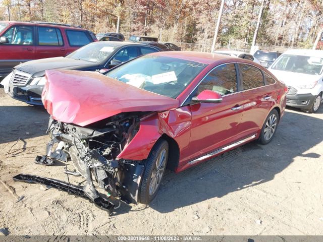 Photo 1 VIN: 5NPE34AF5GH316806 - HYUNDAI SONATA 