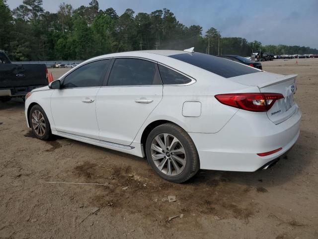 Photo 1 VIN: 5NPE34AF5GH336540 - HYUNDAI SONATA SPO 