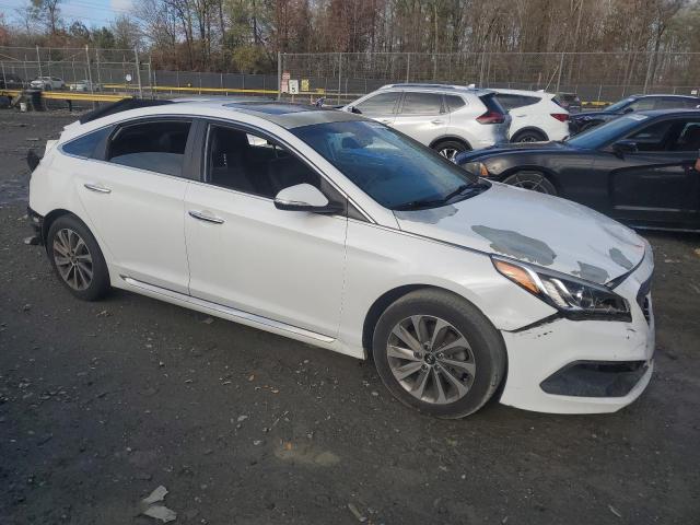 Photo 3 VIN: 5NPE34AF5GH365181 - HYUNDAI SONATA SPO 