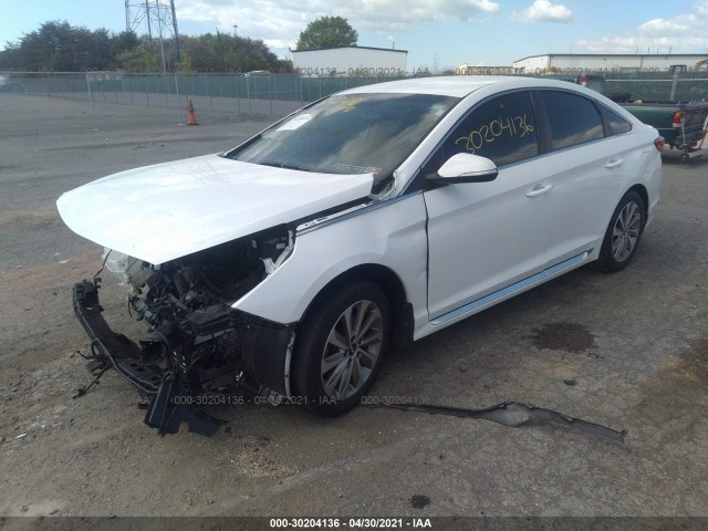 Photo 1 VIN: 5NPE34AF5GH409244 - HYUNDAI SONATA 