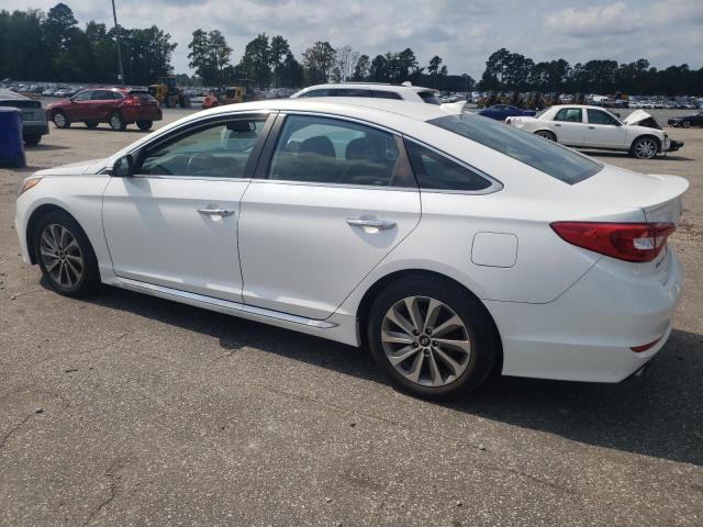 Photo 1 VIN: 5NPE34AF5GH427159 - HYUNDAI SONATA SPO 