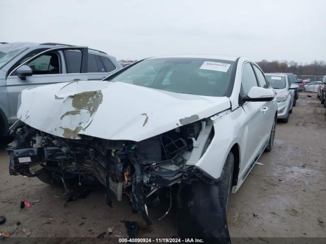 Photo 1 VIN: 5NPE34AF5HH490781 - HYUNDAI SONATA 