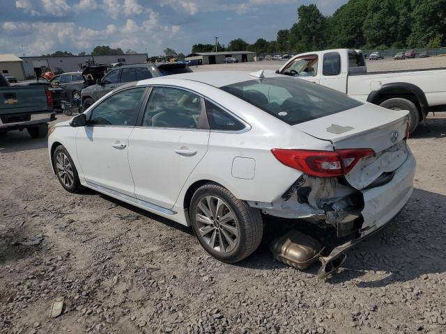 Photo 1 VIN: 5NPE34AF5HH507711 - HYUNDAI SONATA 