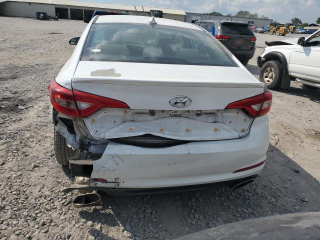 Photo 5 VIN: 5NPE34AF5HH507711 - HYUNDAI SONATA 