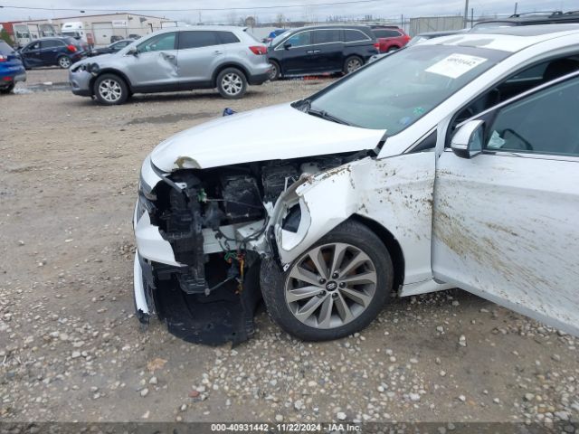 Photo 5 VIN: 5NPE34AF5HH513430 - HYUNDAI SONATA 