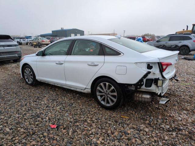 Photo 1 VIN: 5NPE34AF5HH522564 - HYUNDAI SONATA SPO 