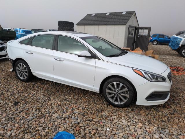 Photo 3 VIN: 5NPE34AF5HH522564 - HYUNDAI SONATA SPO 