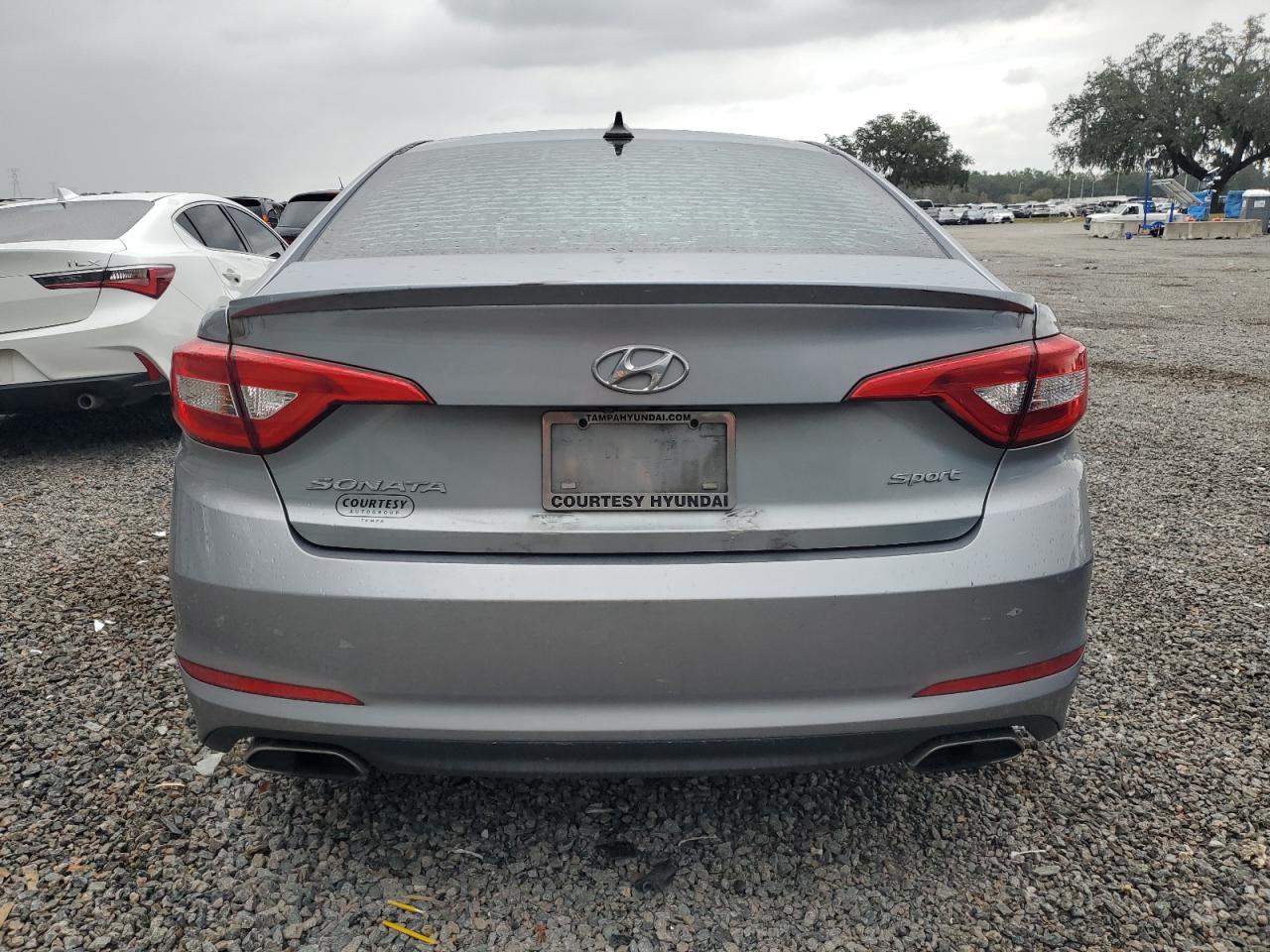 Photo 5 VIN: 5NPE34AF5HH591559 - HYUNDAI SONATA 