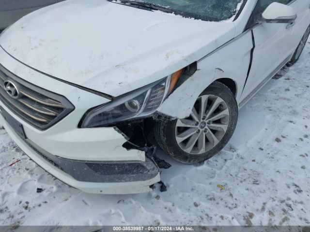 Photo 5 VIN: 5NPE34AF5HH591688 - HYUNDAI SONATA 