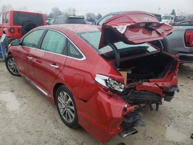 Photo 2 VIN: 5NPE34AF5HH593229 - HYUNDAI SONATA SPO 