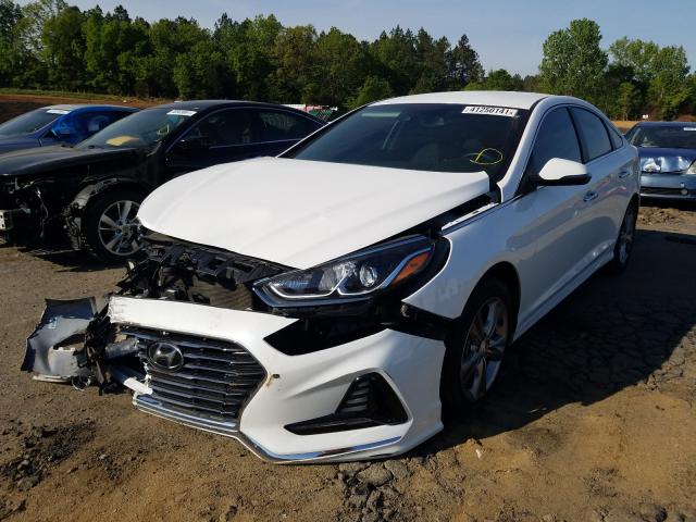 Photo 1 VIN: 5NPE34AF5JH674317 - HYUNDAI SONATA SPO 