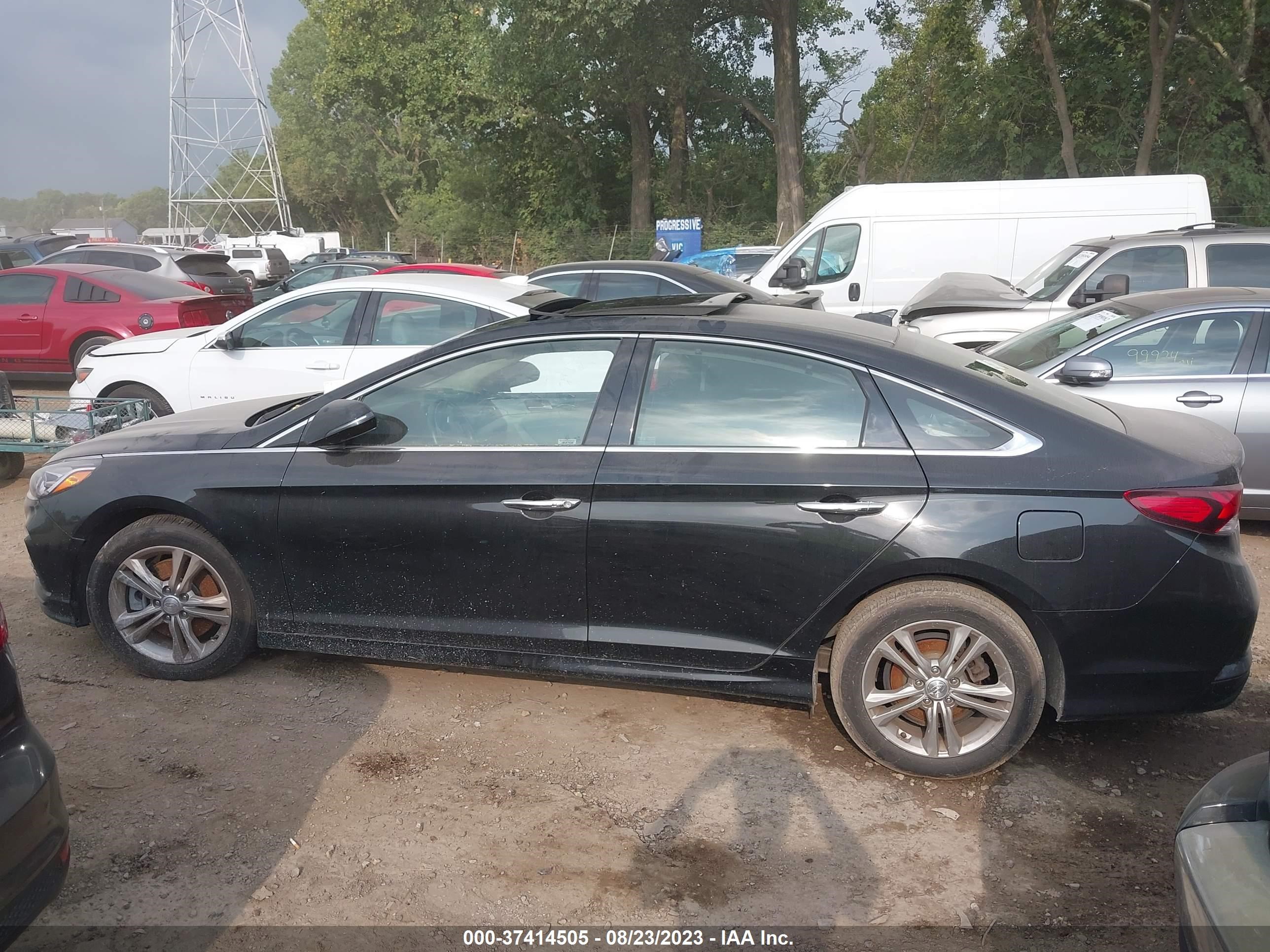 Photo 12 VIN: 5NPE34AF5KH735554 - HYUNDAI SONATA 