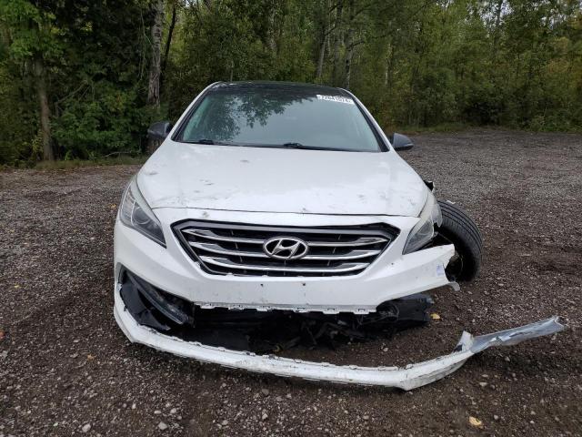 Photo 4 VIN: 5NPE34AF6GH272251 - HYUNDAI SONATA SPO 