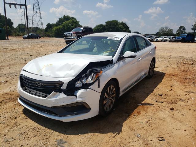 Photo 1 VIN: 5NPE34AF6GH296615 - HYUNDAI SONATA SPO 