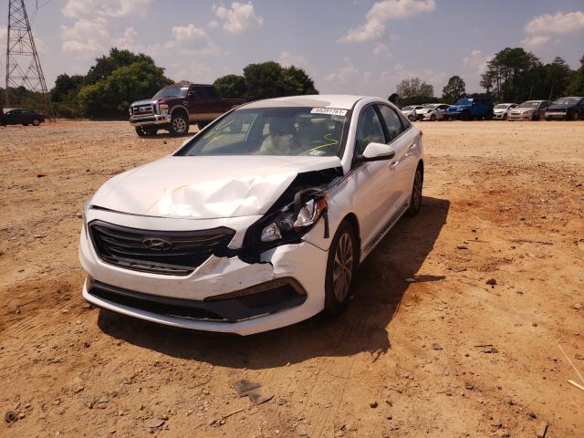 Photo 8 VIN: 5NPE34AF6GH296615 - HYUNDAI SONATA SPO 