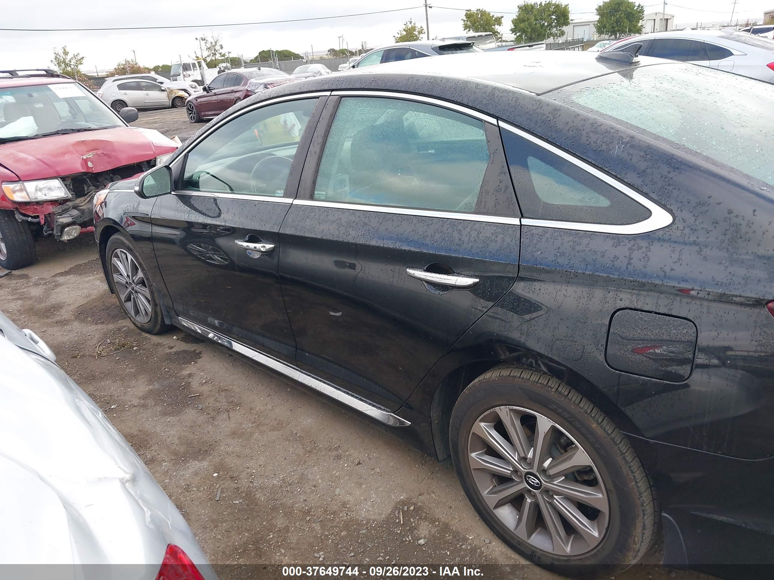 Photo 13 VIN: 5NPE34AF6GH305393 - HYUNDAI SONATA 