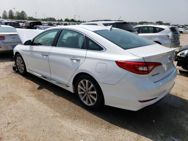 Photo 1 VIN: 5NPE34AF6GH392146 - HYUNDAI SONATA SPO 