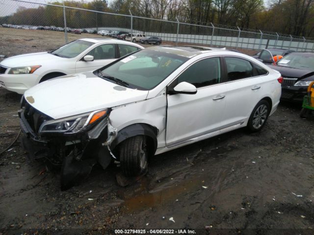 Photo 1 VIN: 5NPE34AF6GH396505 - HYUNDAI SONATA 