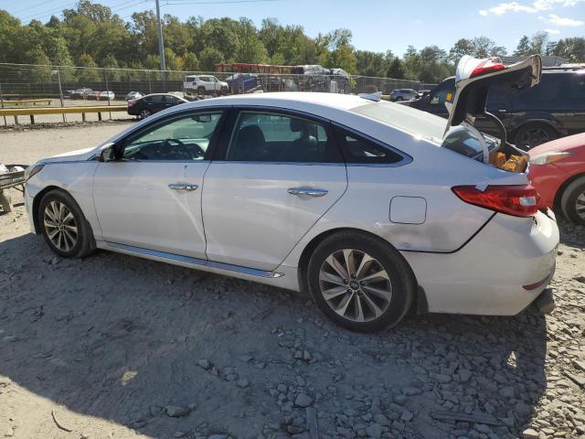 Photo 1 VIN: 5NPE34AF6GH412802 - HYUNDAI SONATA SPO 