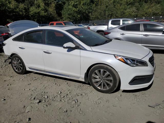 Photo 3 VIN: 5NPE34AF6GH412802 - HYUNDAI SONATA SPO 