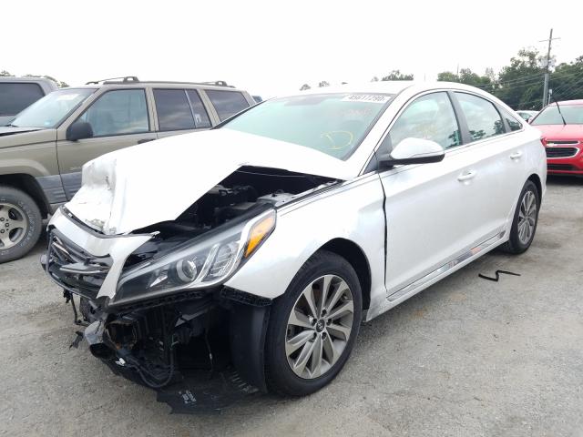 Photo 1 VIN: 5NPE34AF6HH489803 - HYUNDAI SONATA SPO 