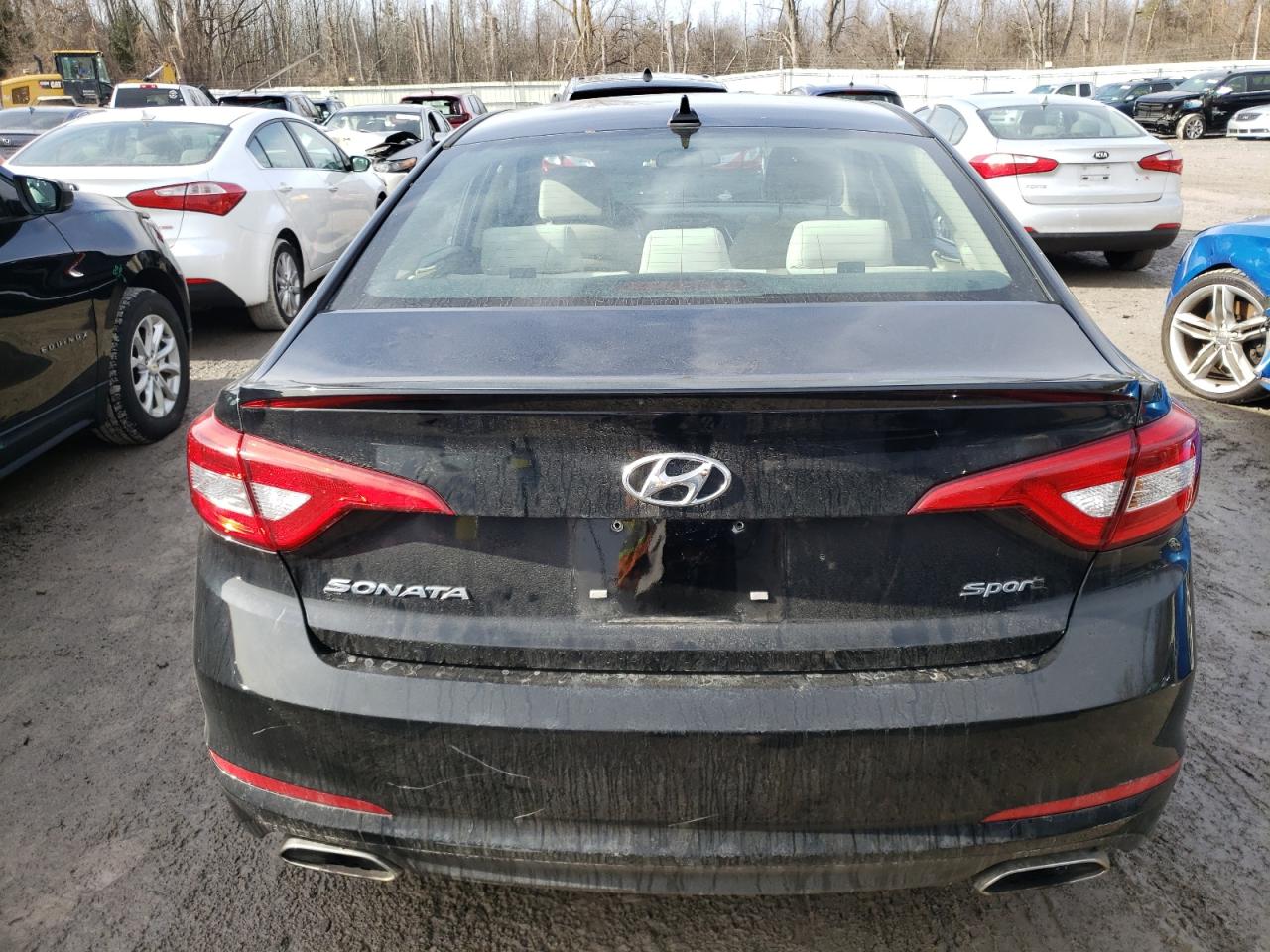 Photo 5 VIN: 5NPE34AF6HH539079 - HYUNDAI SONATA 