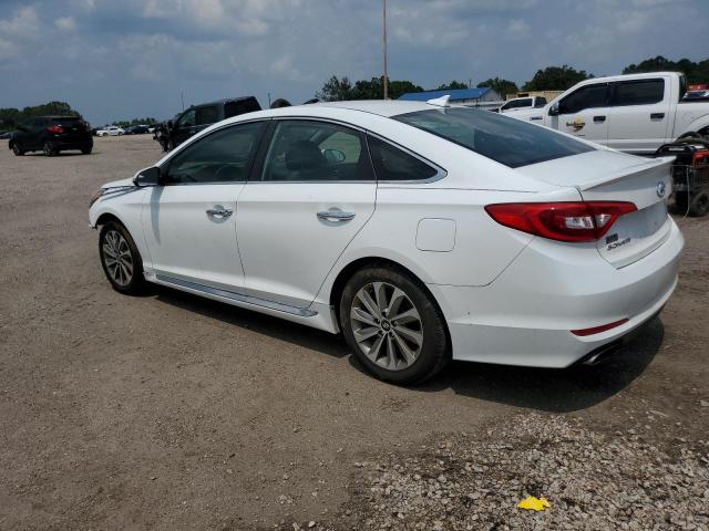 Photo 1 VIN: 5NPE34AF6HH579940 - HYUNDAI SONATA SPO 