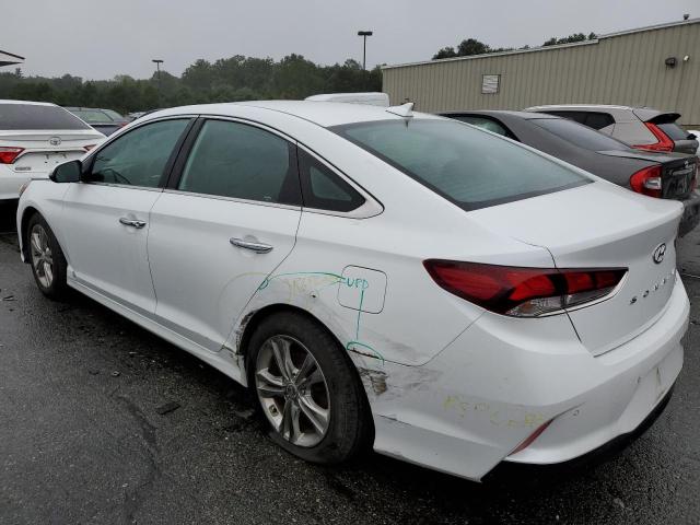 Photo 1 VIN: 5NPE34AF6JH614613 - HYUNDAI SONATA SPO 