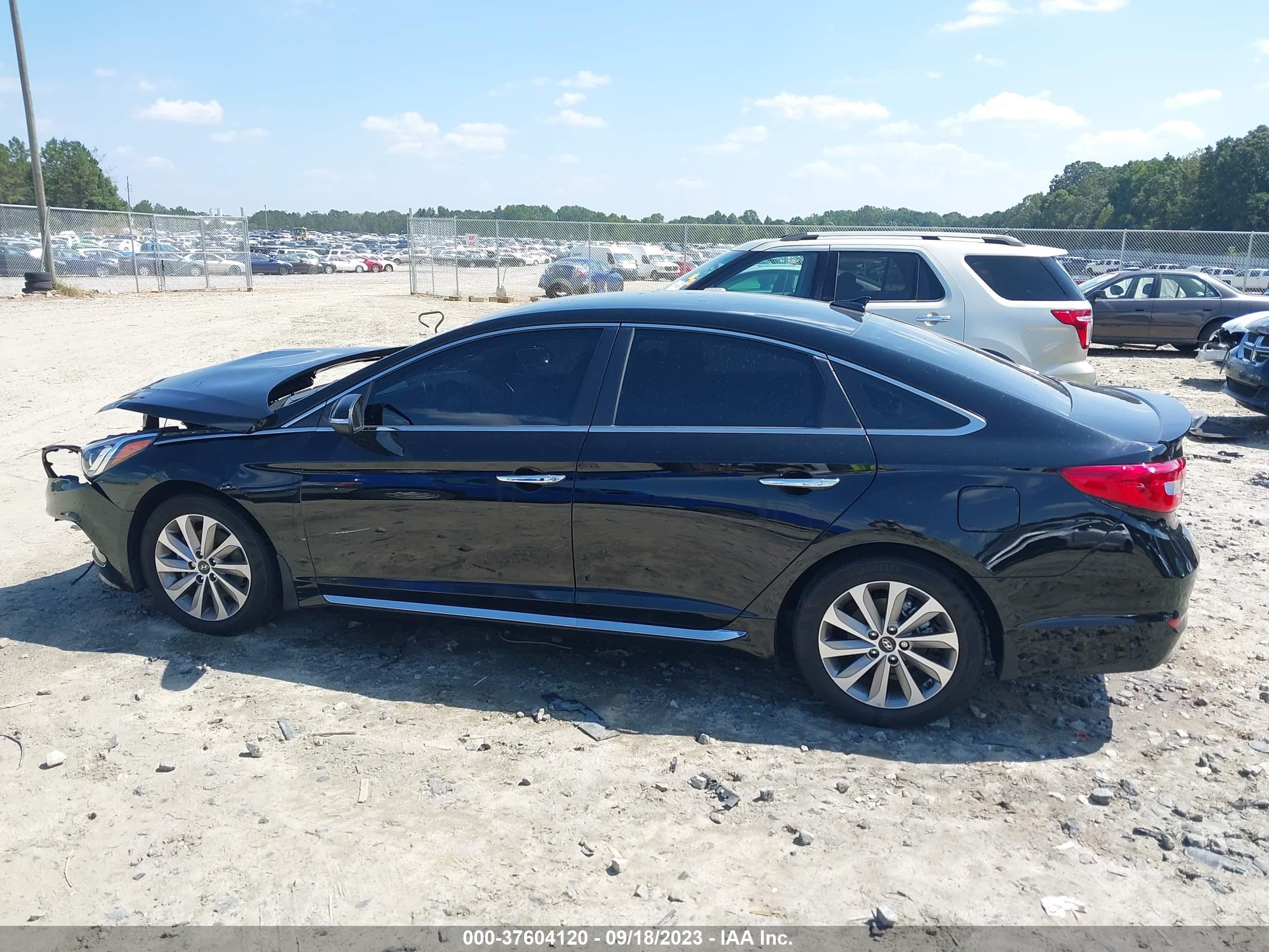 Photo 13 VIN: 5NPE34AF7GH273845 - HYUNDAI SONATA 