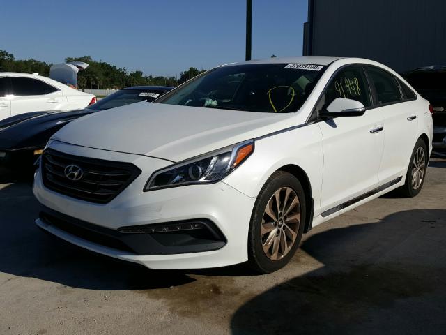 Photo 1 VIN: 5NPE34AF7GH329654 - HYUNDAI SONATA SPO 