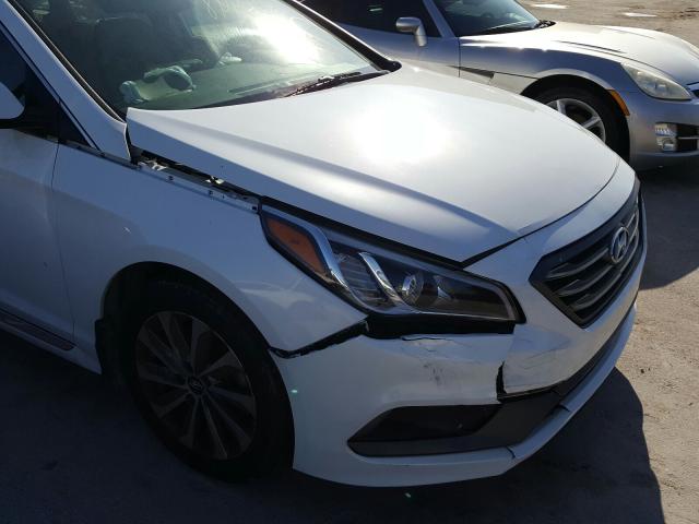 Photo 8 VIN: 5NPE34AF7GH329654 - HYUNDAI SONATA SPO 