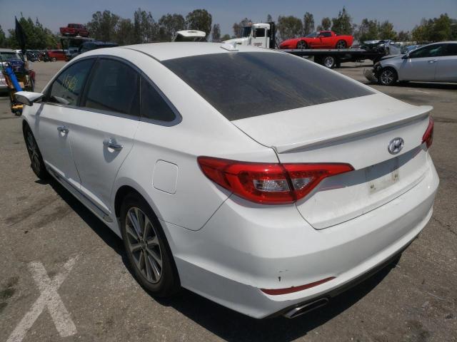 Photo 2 VIN: 5NPE34AF7GH348060 - HYUNDAI SONATA SPO 