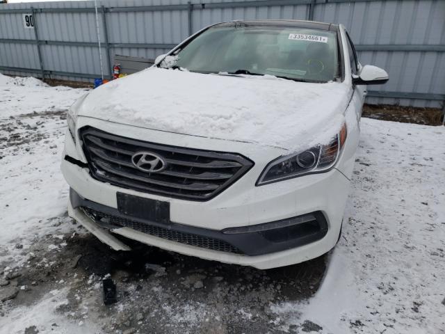 Photo 8 VIN: 5NPE34AF7GH380619 - HYUNDAI SONATA SPO 