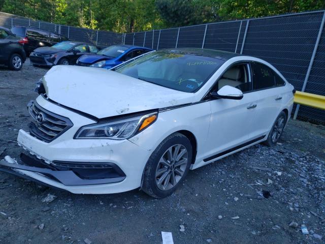 Photo 1 VIN: 5NPE34AF7GH421461 - HYUNDAI SONATA SPO 