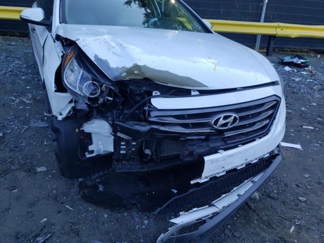 Photo 8 VIN: 5NPE34AF7GH421461 - HYUNDAI SONATA SPO 