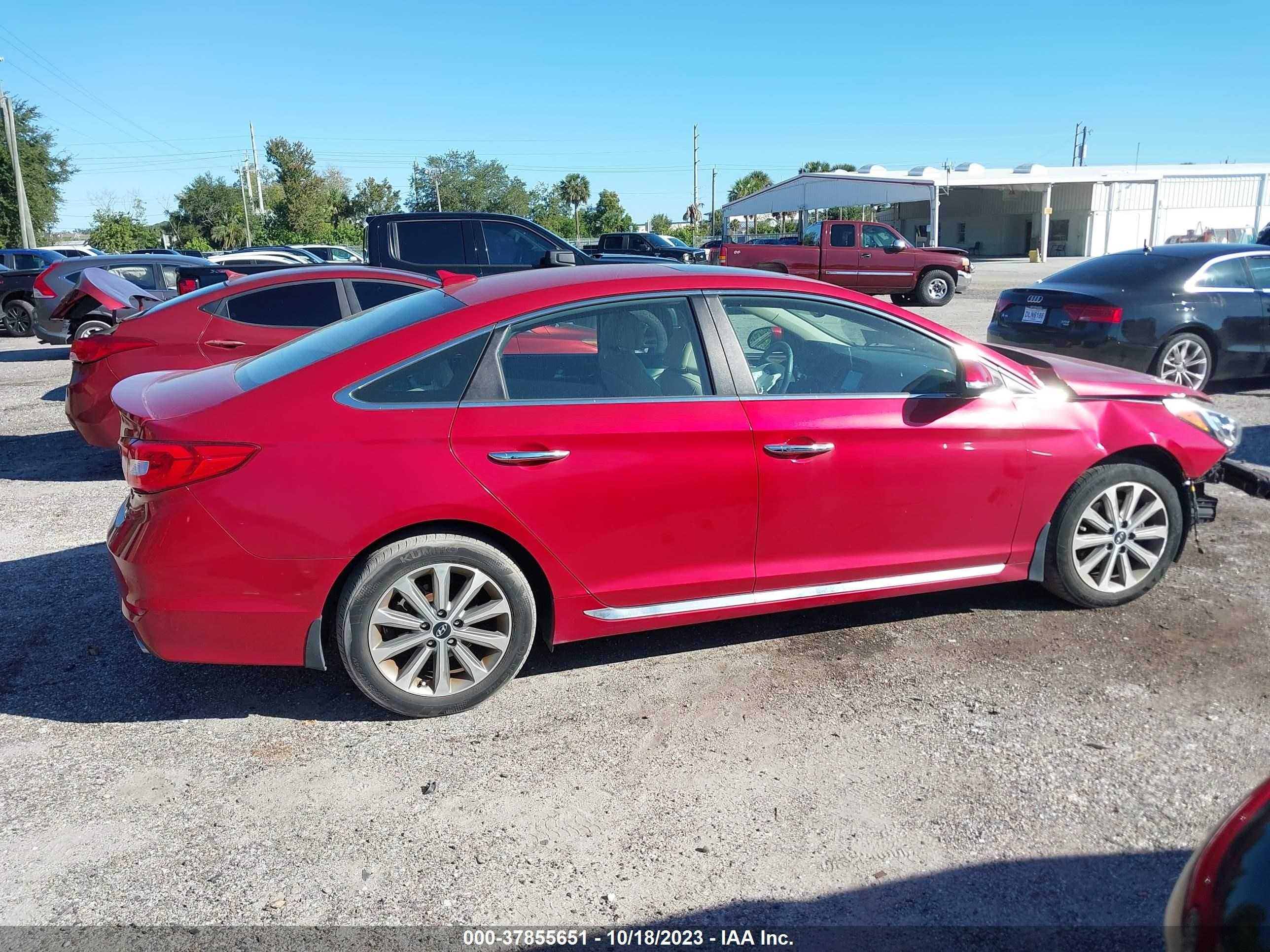 Photo 13 VIN: 5NPE34AF7HH449343 - HYUNDAI SONATA 