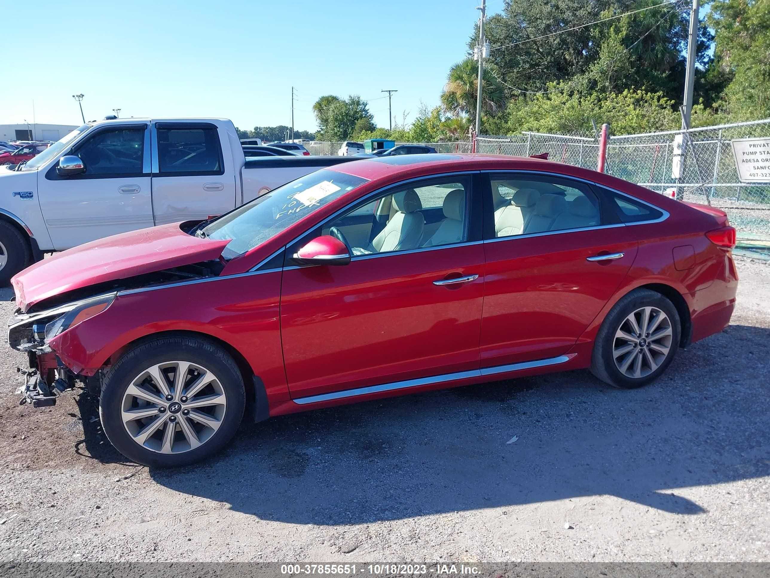 Photo 14 VIN: 5NPE34AF7HH449343 - HYUNDAI SONATA 