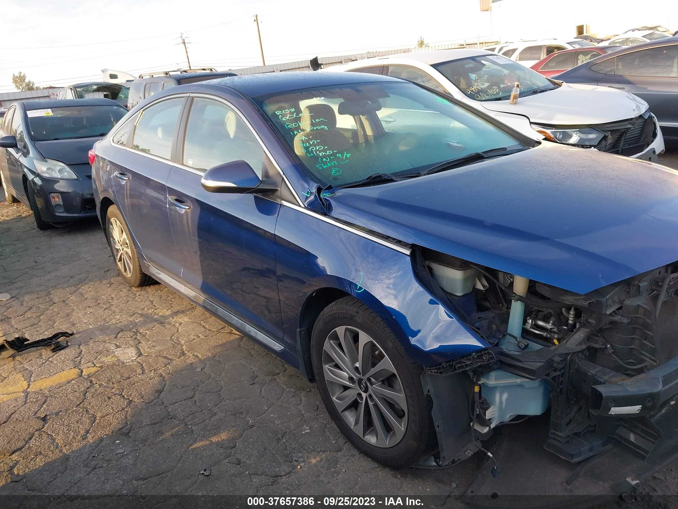 Photo 12 VIN: 5NPE34AF7HH460973 - HYUNDAI SONATA 