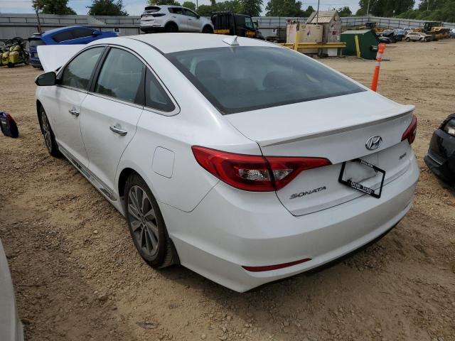 Photo 2 VIN: 5NPE34AF7HH506415 - HYUNDAI SONATA SPO 