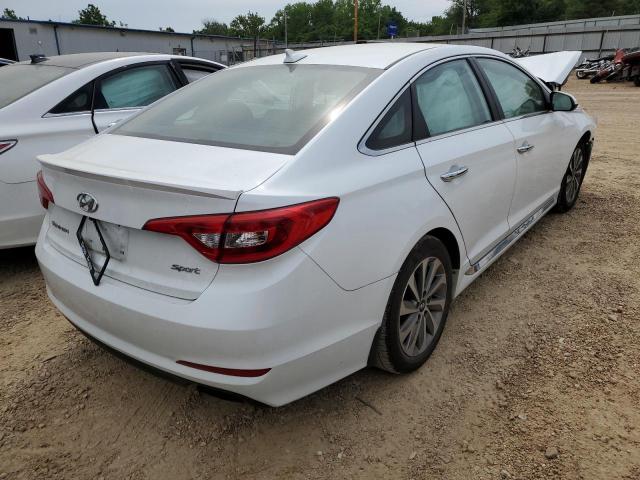 Photo 3 VIN: 5NPE34AF7HH506415 - HYUNDAI SONATA SPO 