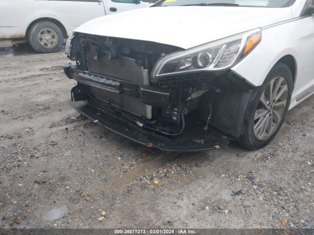 Photo 5 VIN: 5NPE34AF7HH510500 - HYUNDAI SONATA 