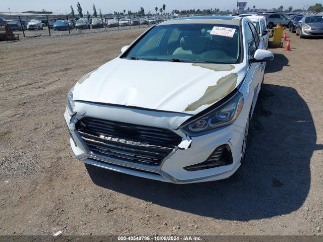 Photo 5 VIN: 5NPE34AF7JH599622 - HYUNDAI SONATA 