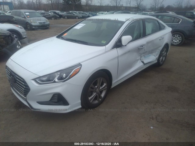 Photo 5 VIN: 5NPE34AF7JH603815 - HYUNDAI SONATA 