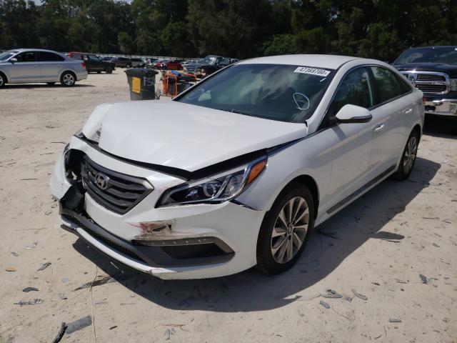 Photo 1 VIN: 5NPE34AF8FH139201 - HYUNDAI SONATA SPO 