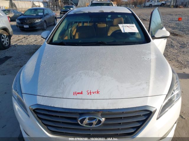 Photo 9 VIN: 5NPE34AF8FH151901 - HYUNDAI SONATA 