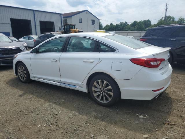 Photo 1 VIN: 5NPE34AF8FH251920 - HYUNDAI SONATA SPO 