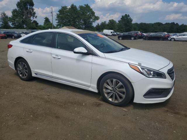 Photo 3 VIN: 5NPE34AF8FH251920 - HYUNDAI SONATA SPO 