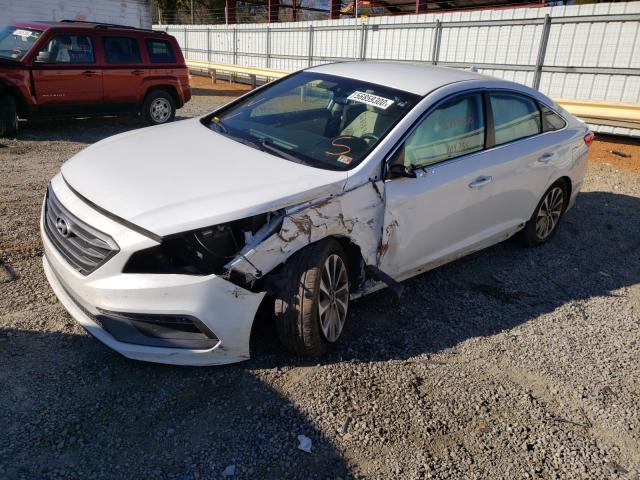 Photo 1 VIN: 5NPE34AF8GH310420 - HYUNDAI SONATA SPO 